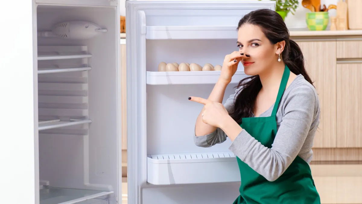 Buzdolabındaki Et Kokusu Nasıl Giderilir
