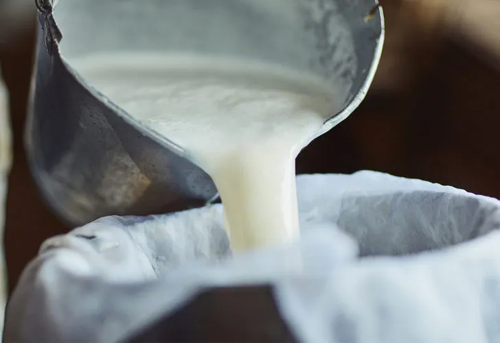 Bozulan Süt Nasıl Değerlendirilir ?