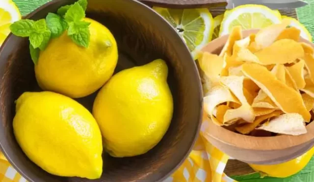 Kalorifer Peteklerine Neden Limon Koyulur