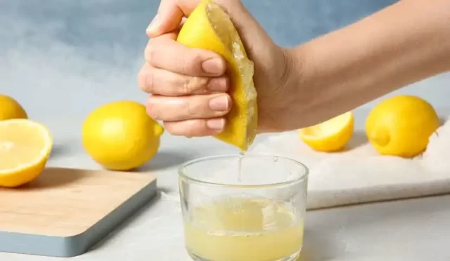 Limon Nasıl Dondurulur
