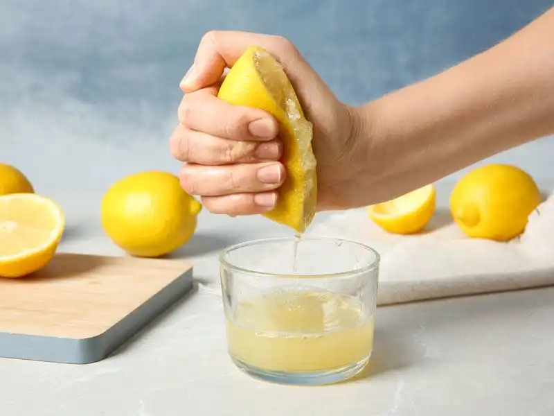 Limon Nasıl Dondurulur