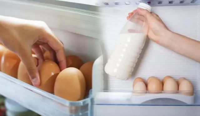 Süt ve Yumurta Nasıl Saklanır