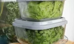 Yeşillikler Buzdolabında Nasıl Saklanmalıdır
